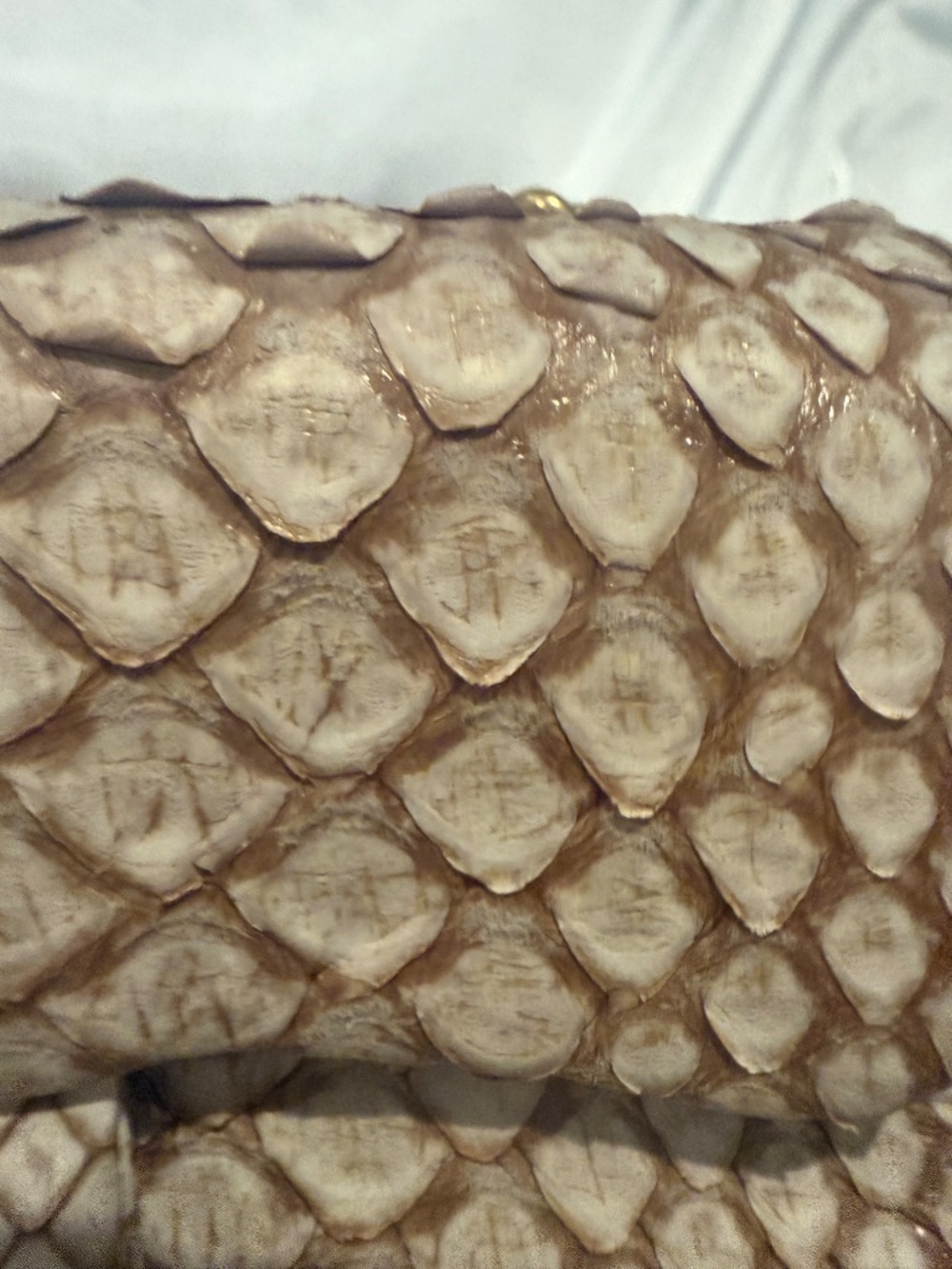 Chanel Python mini flap bag - Picture 8 of 15